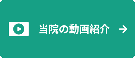 動画紹介