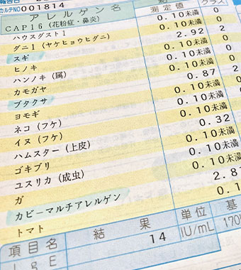 アレルギー検査